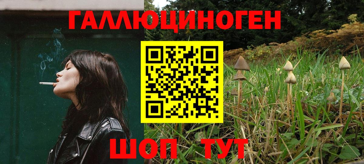 Домодедово  купить закладку  Вход с VPN  Псилоцибиновые грибы мицелий 